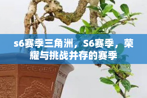 s6赛季三角洲，S6赛季，荣耀与挑战并存的赛季