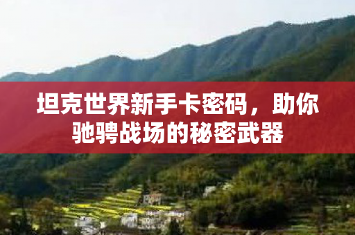 坦克世界新手卡密码，助你驰骋战场的秘密武器