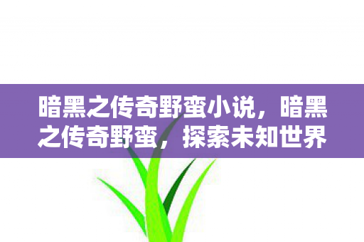 暗黑之传奇野蛮小说，暗黑之传奇野蛮，探索未知世界的无尽冒险