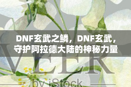 DNF玄武之鳞，DNF玄武，守护阿拉德大陆的神秘力量