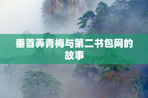 垂首弄青梅与第二书包网的故事