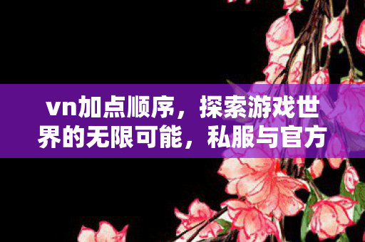 vn加点顺序，探索游戏世界的无限可能，私服与官方服务器的独特魅力