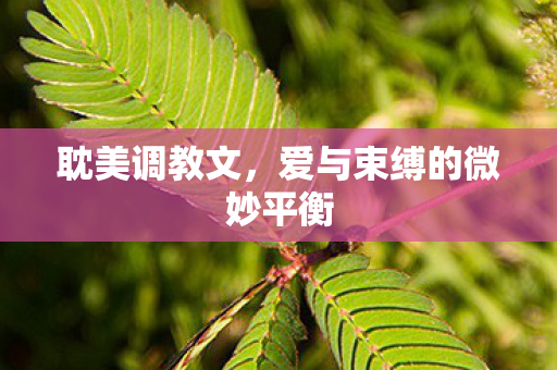 耽美调教文，爱与束缚的微妙平衡