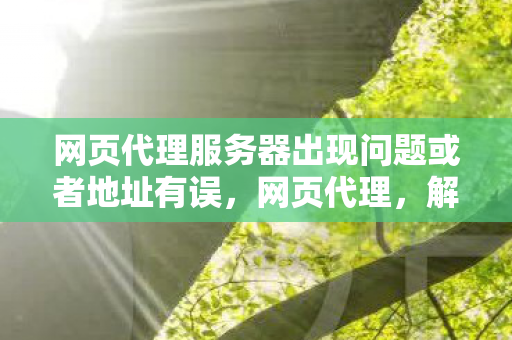网页代理服务器出现问题或者地址有误，网页代理，解锁网络限制，保障隐私与安全的双刃剑
