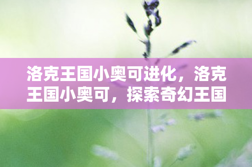 洛克王国小奥可进化，洛克王国小奥可，探索奇幻王国的奇妙之旅