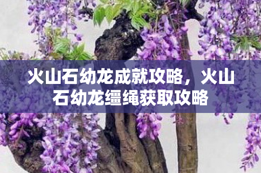 火山石幼龙成就攻略，火山石幼龙缰绳获取攻略