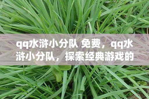 qq水浒小分队 免费，qq水浒小分队，探索经典游戏的另类玩法与社区文化