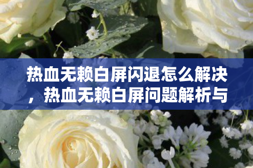 热血无赖白屏闪退怎么解决，热血无赖白屏问题解析与解决建议