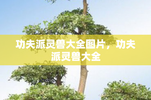 功夫派灵兽大全图片，功夫派灵兽大全