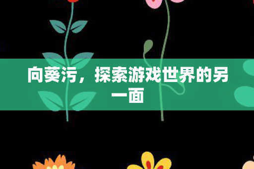 向葵污，探索游戏世界的另一面
