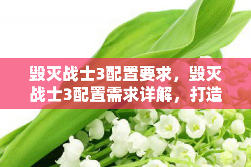 毁灭战士3配置要求，毁灭战士3配置需求详解，打造流畅游戏体验