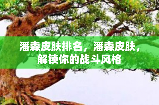 潘森皮肤排名，潘森皮肤，解锁你的战斗风格