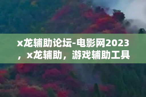 x龙辅助论坛-电影网2023，x龙辅助，游戏辅助工具的正确使用与注意事项
