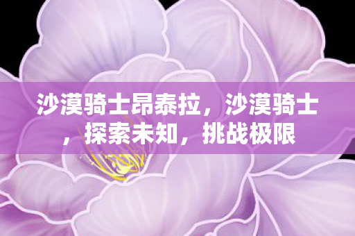 沙漠骑士昂泰拉，沙漠骑士，探索未知，挑战极限