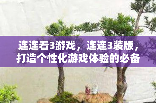 连连看3游戏，连连3装版，打造个性化游戏体验的必备神器