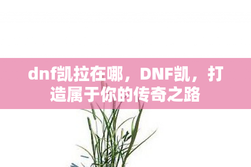 dnf凯拉在哪，DNF凯，打造属于你的传奇之路