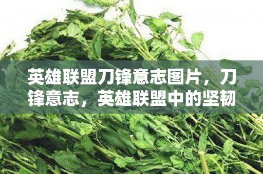 英雄联盟刀锋意志图片，刀锋意志，英雄联盟中的坚韧与荣耀