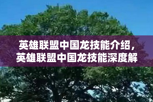 英雄联盟中国龙技能介绍，英雄联盟中国龙技能深度解析，震撼与荣耀的交织