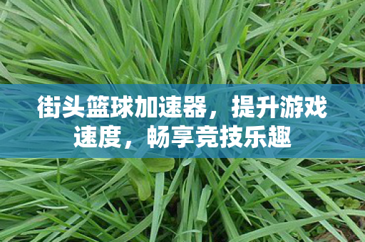 街头篮球加速器，提升游戏速度，畅享竞技乐趣