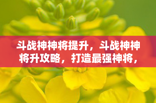 斗战神神将提升，斗战神神将升攻略，打造最强神将，征服万千挑战