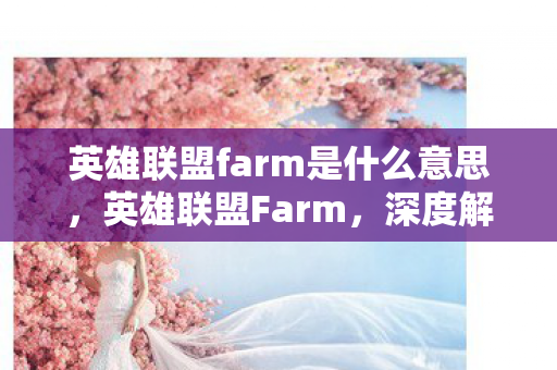 英雄联盟farm是什么意思，英雄联盟Farm，深度解析游戏中的经济管理与资源获取