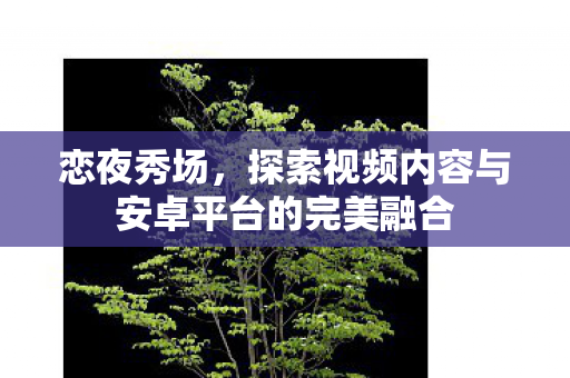 恋夜秀场,探索视频内容与安卓平台的完美融合 恋夜秀场,探索视频内容与安卓平台的完美融合