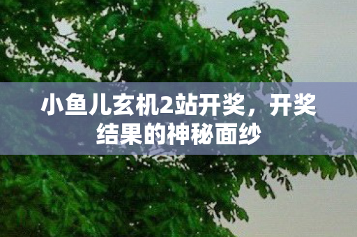 小鱼儿玄机2站开奖，开奖结果的神秘面纱