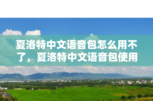 夏洛特中文语音包怎么用不了，夏洛特中文语音包使用指南