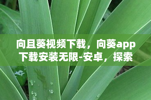 向且葵视频下载，向葵app下载安装无限-安卓，探索安卓世界的无限可能