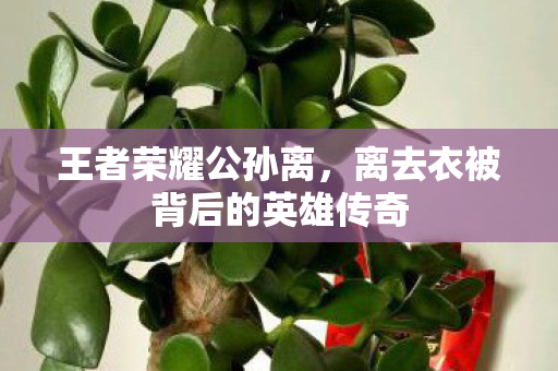 王者荣耀公孙离，离去衣被背后的英雄传奇