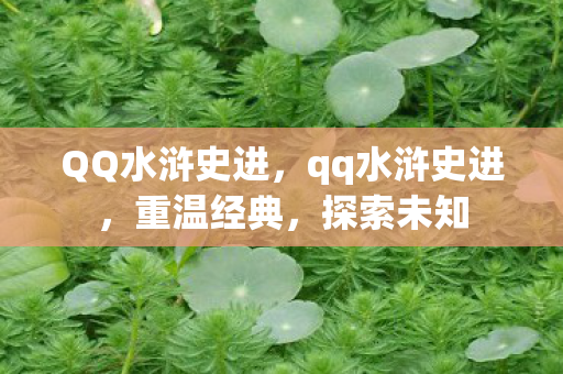 QQ水浒史进，qq水浒史进，重温经典，探索未知