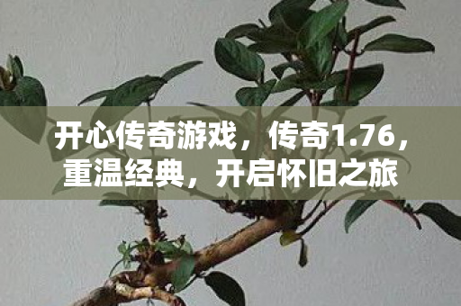 开心传奇游戏，传奇1.76，重温经典，开启怀旧之旅
