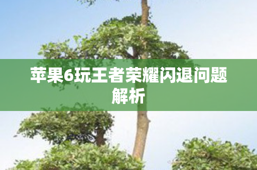 苹果6玩王者荣耀闪退问题解析