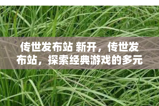 传世发布站 新开，传世发布站，探索经典游戏的多元发布平台
