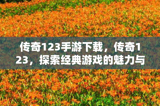 传奇123手游下载，传奇123，探索经典游戏的魅力与传承