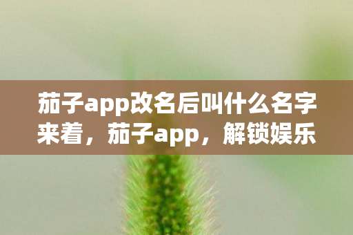 茄子app改名后叫什么名字来着，茄子app，解锁娱乐新方式，尽享高清影视与互动体验