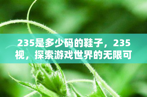 235是多少码的鞋子，235视，探索游戏世界的无限可能