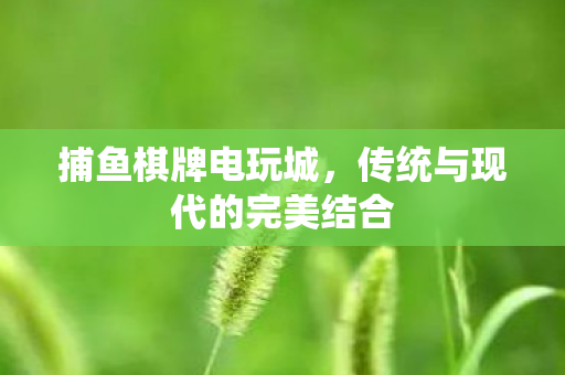 捕鱼棋牌电玩城，传统与现代的完美结合