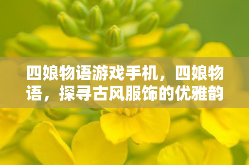 四娘物语游戏手机，四娘物语，探寻古风服饰的优雅韵味