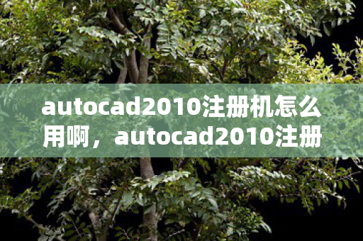 autocad2010注册机怎么用啊，autocad2010注册机，合法激活的便捷工具