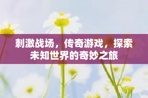 刺激战场，传奇游戏，探索未知世界的奇妙之旅