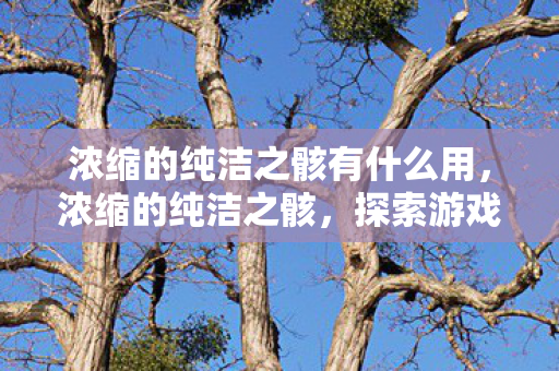 浓缩的纯洁之骸有什么用，浓缩的纯洁之骸，探索游戏世界的纯净之源