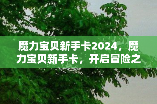 魔力宝贝新手卡2024，魔力宝贝新手卡，开启冒险之旅的钥匙