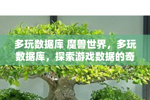 多玩数据库 魔兽世界，多玩数据库，探索游戏数据的奇妙世界