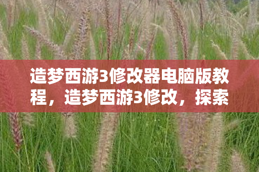 造梦西游3修改器电脑版教程，造梦西游3修改，探索无限可能的策略与技巧