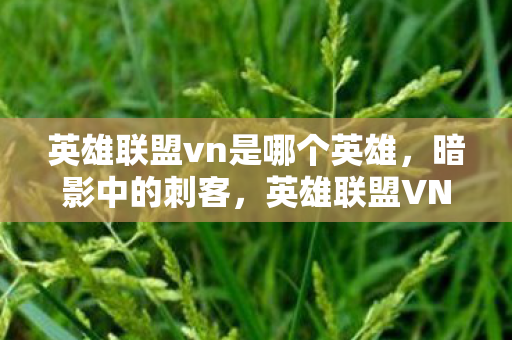 英雄联盟vn是哪个英雄，暗影中的刺客，英雄联盟VN的极致玩法解析