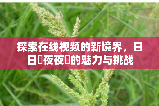 探索在线视频的新境界，日日擼夜夜擼的魅力与挑战