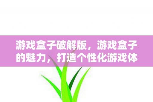 游戏盒子破解版，游戏盒子的魅力，打造个性化游戏体验