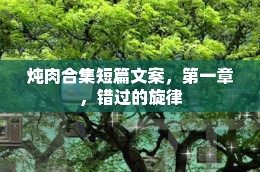 炖肉合集短篇文案，第一章，错过的旋律