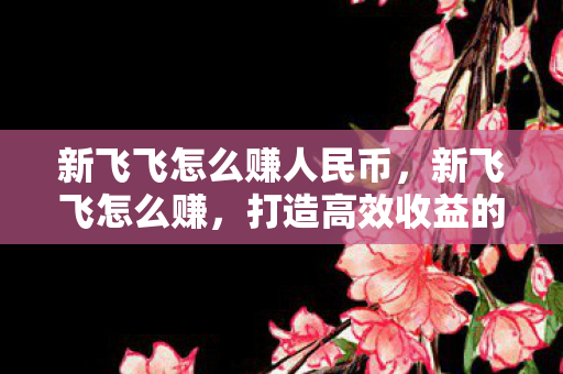 新飞飞怎么赚人民币，新飞飞怎么赚，打造高效收益的策略指南